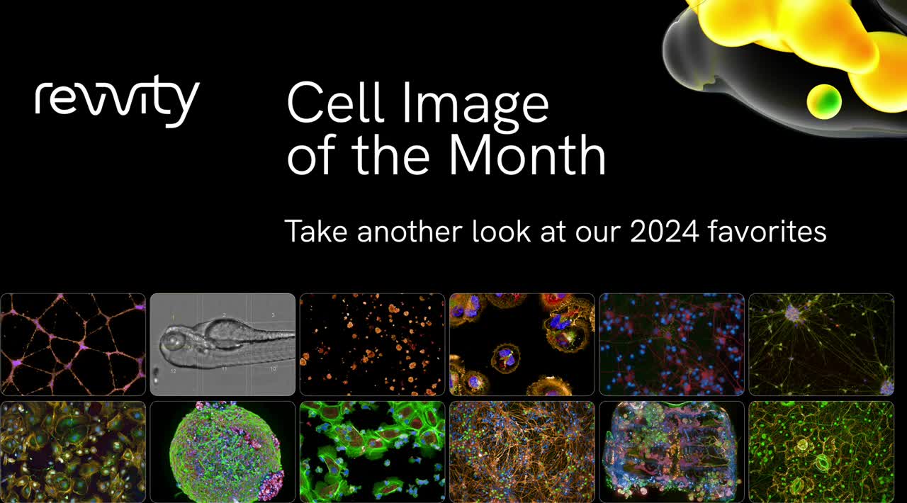 Cell images of the month 2024 video compilation