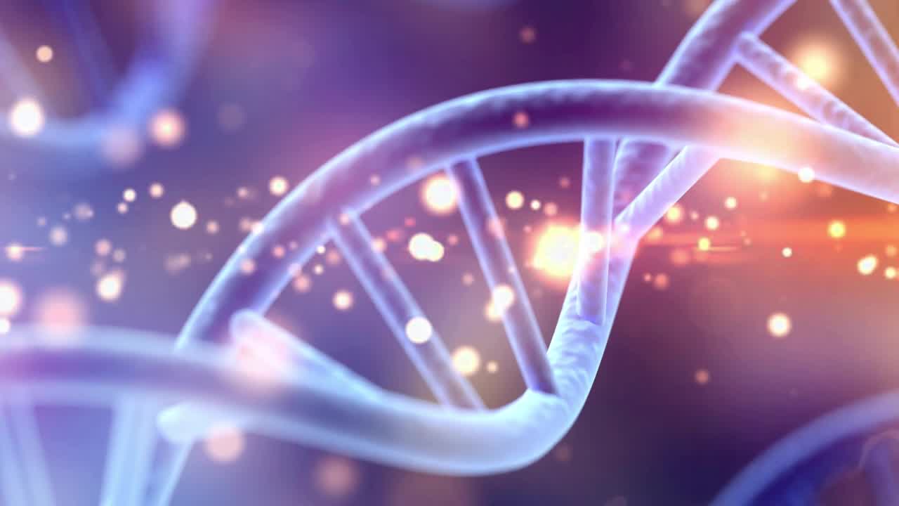 Applications with the chemagic 360 instrument