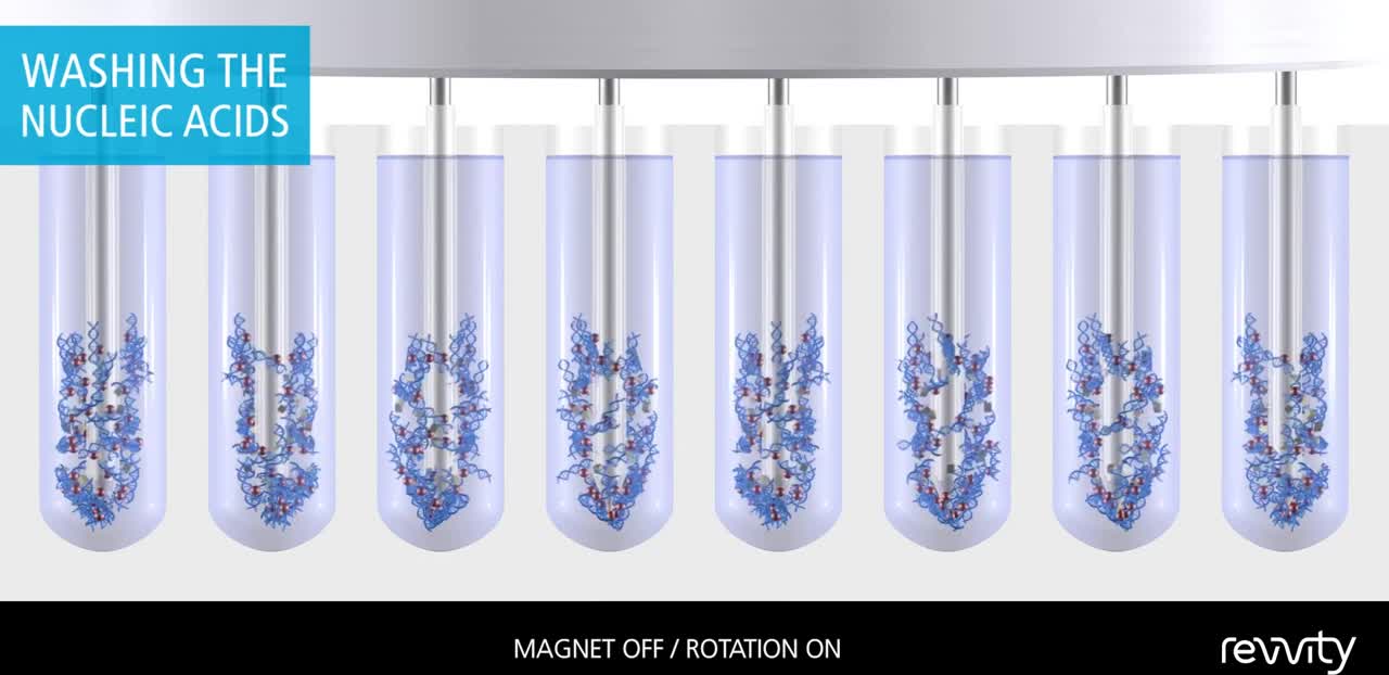 Magnetic bead-based DNA and RNA isolation with chemagen technology